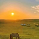 초원대중 이미지