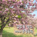 하남종합운동장 화장실(안내소) | 서울근교 겹벚꽃 명소 하남 미사경정공원 실시간...현황, 주차지옥 주차 꿀팁, 튤립명소까지 다녀온 후기