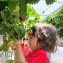 레인보우키즈어린이집 네이버블로그