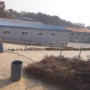 강산부동산컨설팅