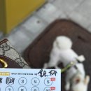 댕댕그루밍 이미지