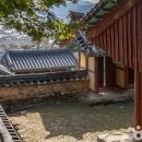 여주산촌관광농원 티스토리