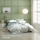 세사리빙 네이버블로그
