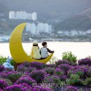 지세포
