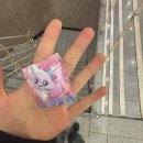 블루바이칼 | 12월 일상글