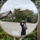 초보자를 위한 집짓기 | 초보자를 위한 간월재 억새밭 최단 등산 코스 후기! (10월 21일 방문)