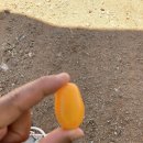 토마토주유소 - 김포시 김포대로 798 | 토마토주유소