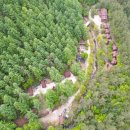 태백고원자연휴양림 자동차야영장 이미지