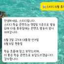 Steady365 스테디365 하루 10분 카카오톡 일본어 영어 중국어 가격 내돈내산 솔직후기 장단점 인스타 광고