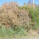 영평영송영농조합법인 이미지