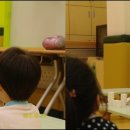 와이과학 Daum카페