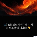 밤밭저수지 경기 북부 배스/붕어 낚시 포인트