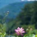 마하재활병원 이미지