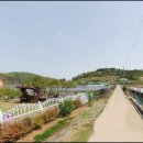 황정리 과수원 이미지