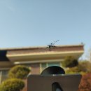 덴토피아자동차유리복원