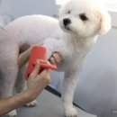 동아동물병원 이미지