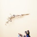 Reirproject 이미지