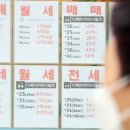 강남하나공인중개사사무소 이미지