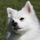 코지동물의료센터 서구청점 이미지