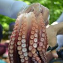 장원본산악회 대모산 등산(2018.05.26)/위성진 이미지