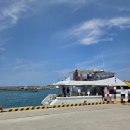 거북이주유소 | 오키나와 나하 출발 거북이 스노클링 - 바다 색 미친...보트투어 내돈내산 후기, 반나절 스노클링 투어...