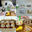 댕가앤쿡 이미지