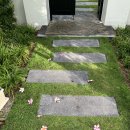 트리짐 트리태닝 | 반얀트리 랑코 라군 풀빌라에서의 2박 3일 리얼 후기