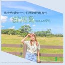 게이한 패스로 여행하는 오사카-교토 감성 여행! 다녀오고 싶어요!(여행이 좋다)