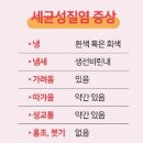 웰 여성의원 네이버블로그