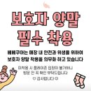 건영스파 | 노원 베베쿠아 베이비스파카페 재방문 후기 준비물ㅣ6개월 아기 수영ㅣ보호자 양말 챙기기❗️