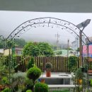 어서와현 이미지