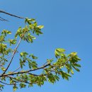 만월어린이공원 이미지