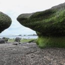 안덕면 사계포구 이미지