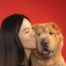 럭키스튜디오사진관