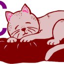 닥터멍동물병원 이미지