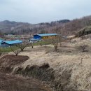 주도리 농장 이미지