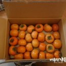 대봉가든 이미지