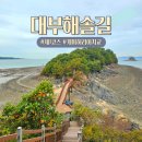 구봉도(제1대부해솔길) 화장실 | 안산 대부해솔길 1코스 걷기 좋은 구간, 개미허리아치교까지 힐링 산책
