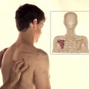 통증 잡는 마사지볼 이미지