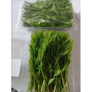 새순농장 이미지