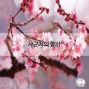 향기 티스토리
