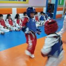 한울태권도교육관 이미지