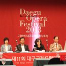 대구국제오페라축제조직위원회 이미지