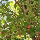 양경마을회관 이미지