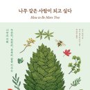 나무에서 이미지