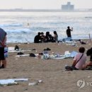 동틀때 이미지