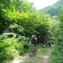 진산휴양림 이미지