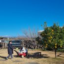 마당민박 이미지