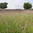 쉼이필요할때 이미지