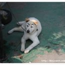 지운카센타 이미지